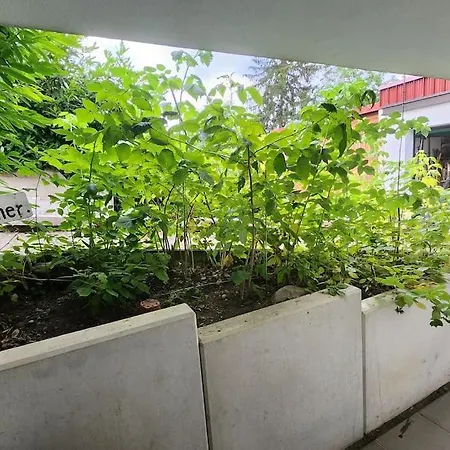 Appartamento Kleine 1 Zimmer Ohne Kuche Aber Mit Herd Mikrowelle Wasserkocher Ect *