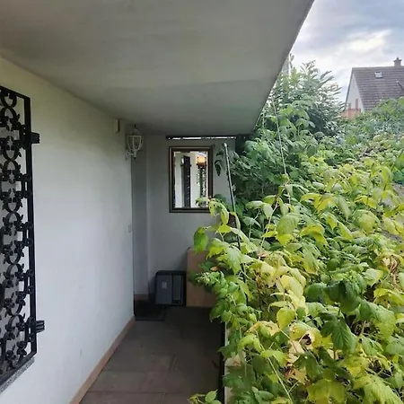 Appartamento Kleine 1 Zimmer Ohne Kuche Aber Mit Herd Mikrowelle Wasserkocher Ect