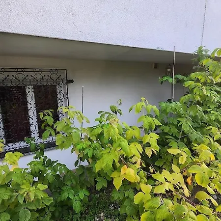 Appartamento Kleine 1 Zimmer Ohne Kuche Aber Mit Herd Mikrowelle Wasserkocher Ect